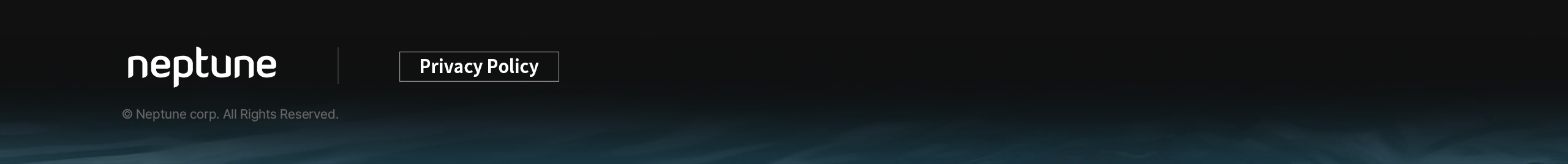 Footer Information