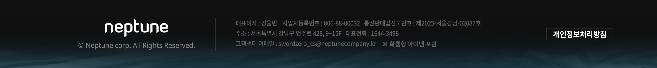 Footer Information