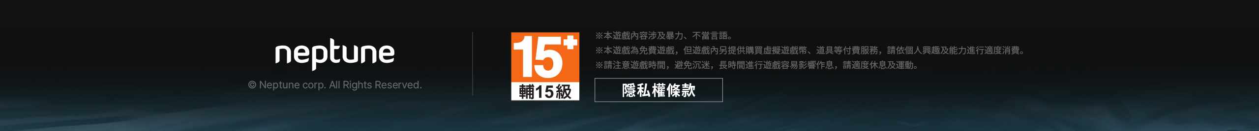 Footer Information